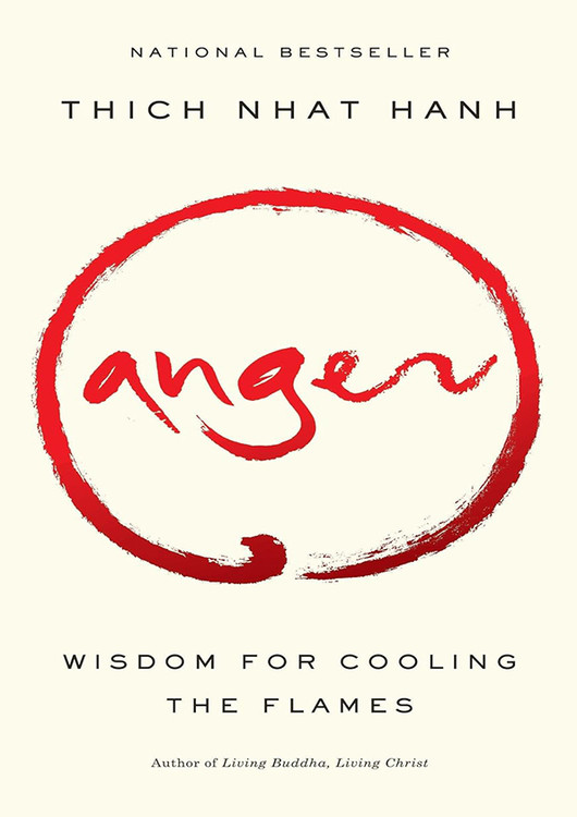 کتاب Anger: Wisdom for Cooling the Flames