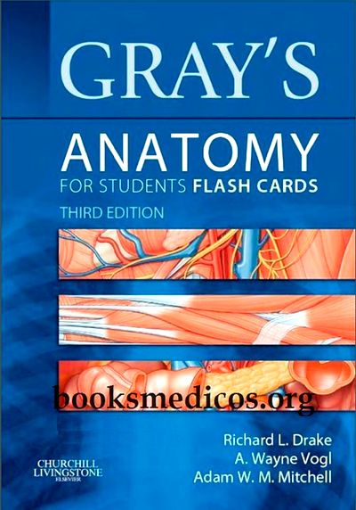 کتاب Gray's Anatomy for Students