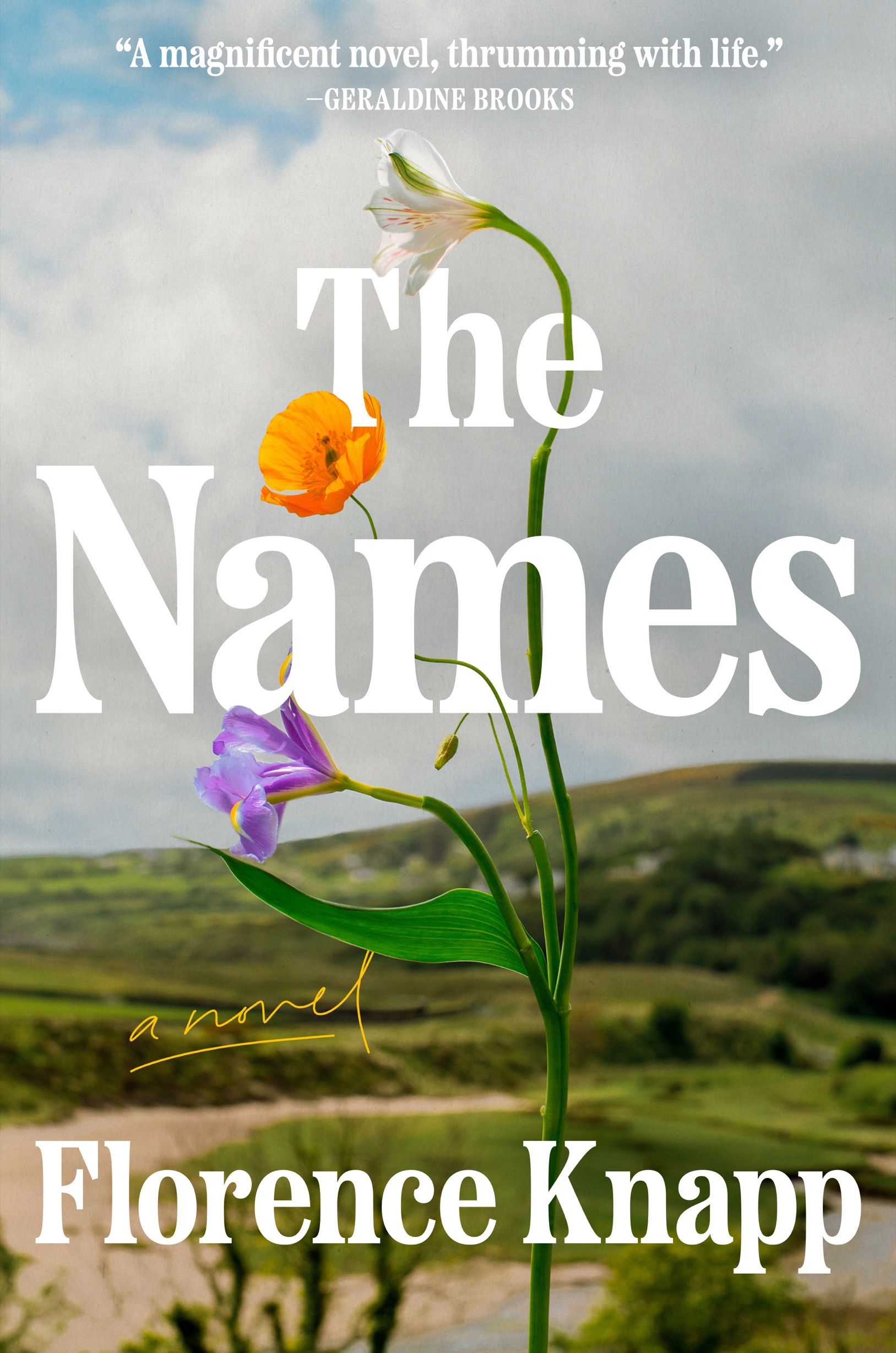 کتاب The Names