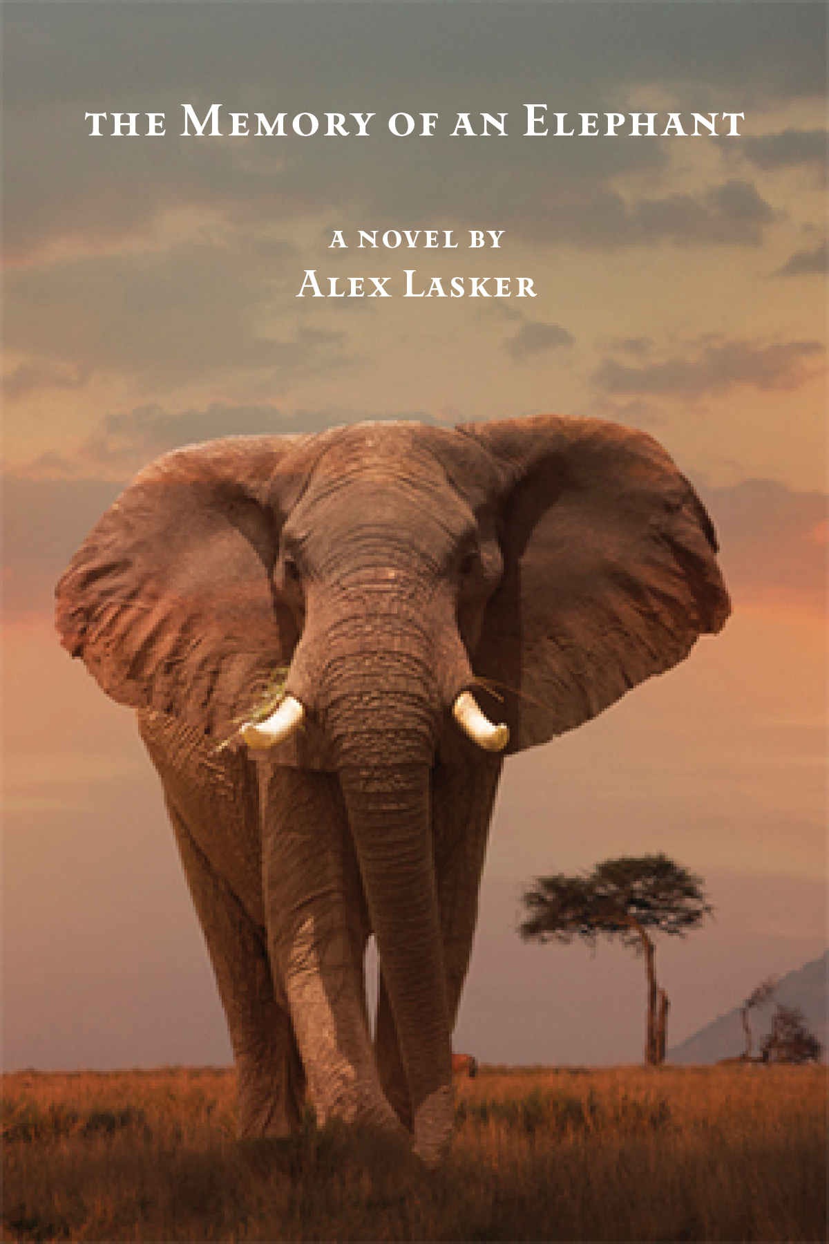 کتاب The Memory of an Elephant
