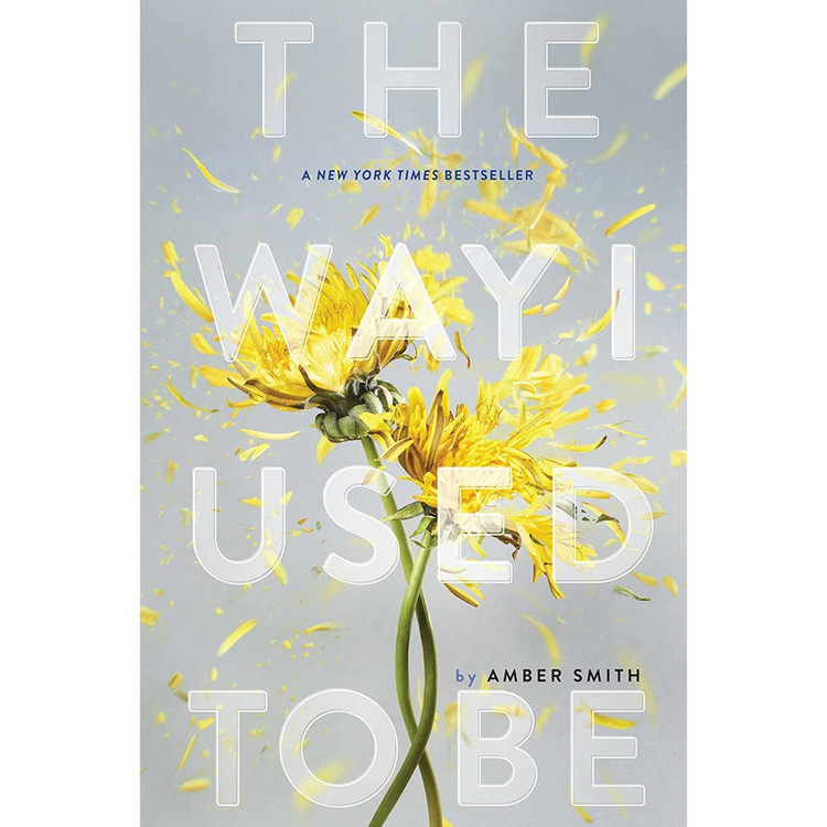 کتاب The Way I Used to Be اثر Amber Smith انتشارات Margaret K. McElderry Books