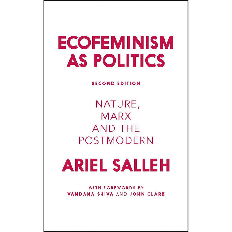 کتاب Ecofeminism as Politics اثر جمعي از نويسندگان انتشارات Zed Books