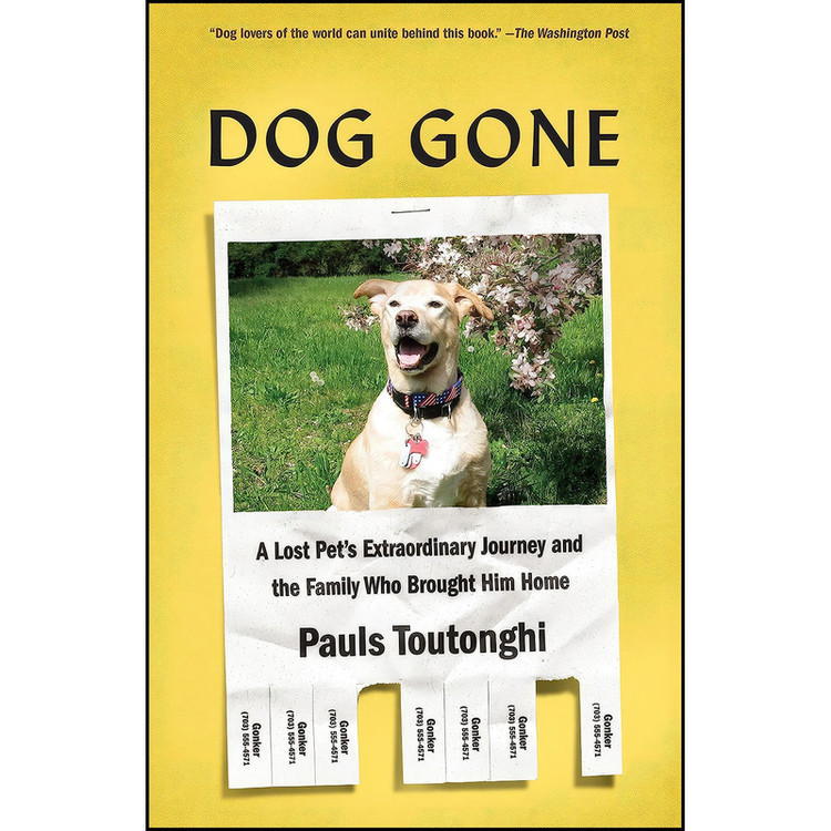 کتاب Dog Gone اثر Pauls Toutonghi انتشارات تازه ها