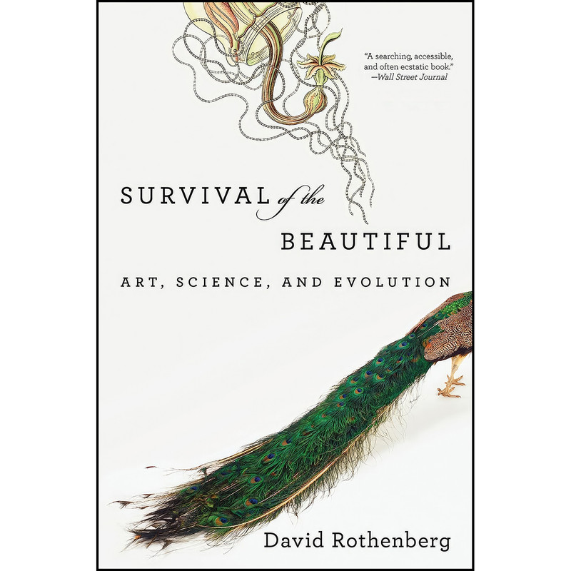 کتاب Survival of the Beautiful اثر David Rothenberg انتشارات Bloomsbury Press