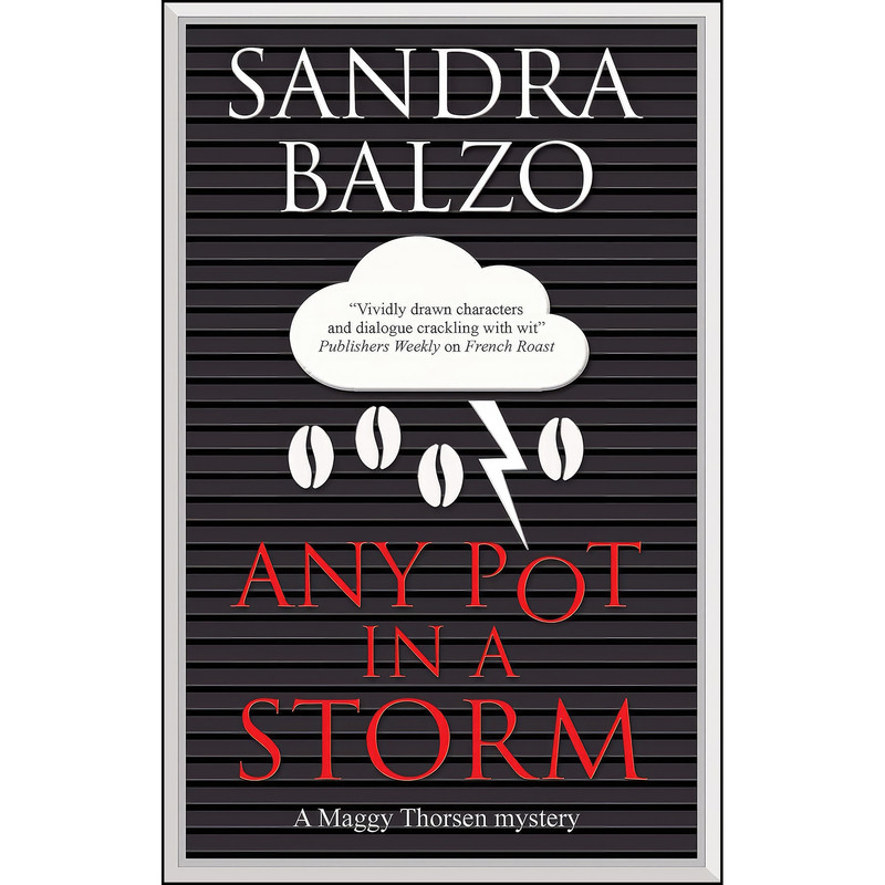 کتاب Any Pot in a Storm  اثر Sandra Balzo انتشارات Severn House