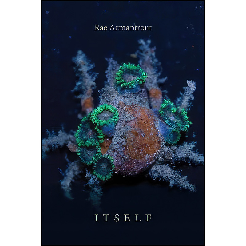 کتاب Itself  اثر Rae Armantrout انتشارات Wesleyan University Press