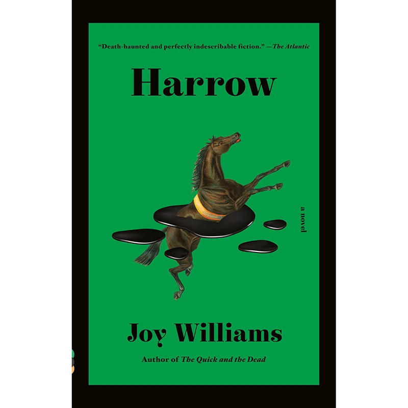 کتاب Harrow اثر Joy Williams انتشارات Vintage