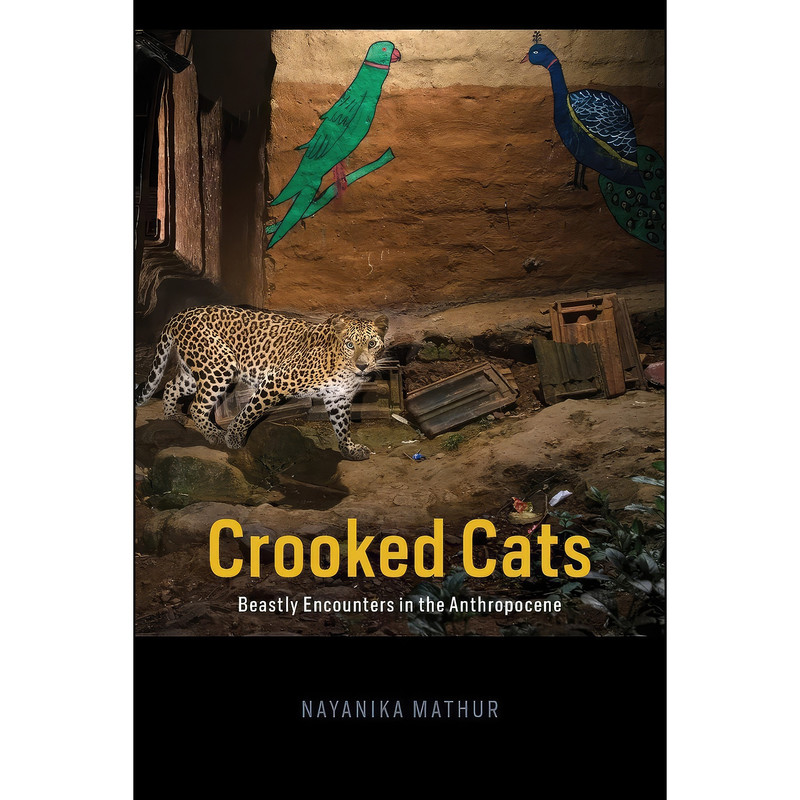 کتاب Crooked Cats اثر Nayanika Mathur انتشارات University of Chicago Press