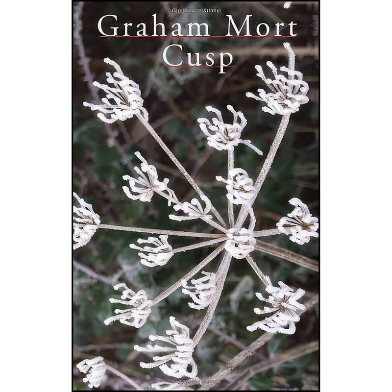 کتاب Cusp اثر Graham Mort انتشارات Seren