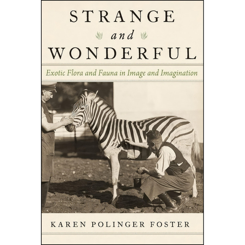 کتاب Strange and Wonderful اثر Karen Polinger Foster انتشارات Oxford University Press