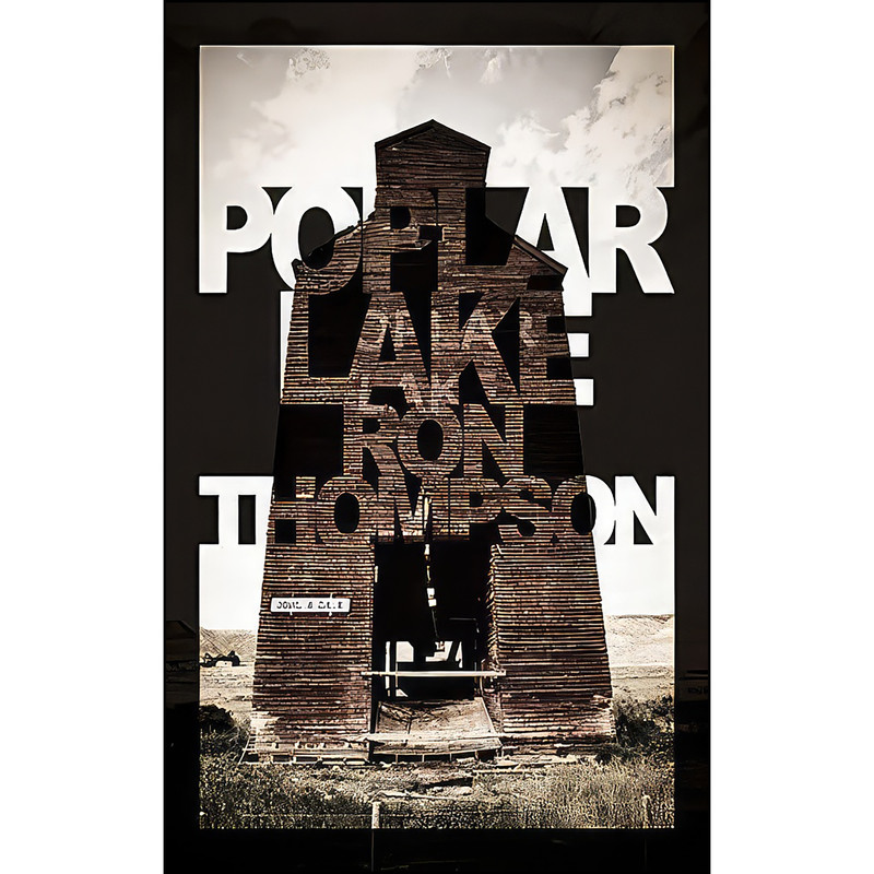 کتاب Poplar Lake اثر Ron Thompson انتشارات Now or Never Publishing Company