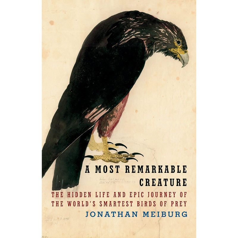 کتاب A Most Remarkable Creature اثر Jonathan Meiburg انتشارات Random House Inc