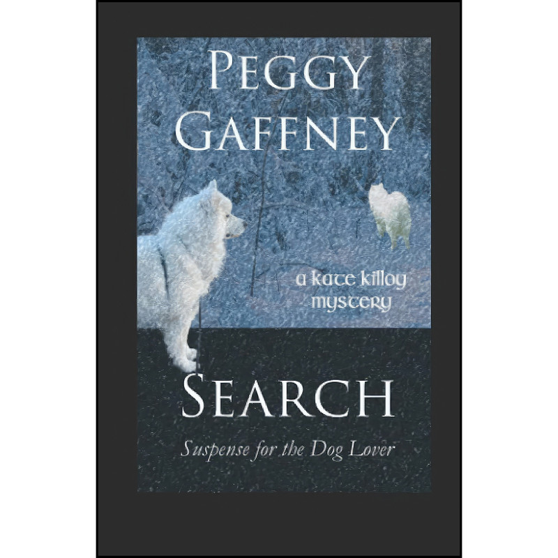 کتاب SEARCH اثر Peggy Gaffney انتشارات تازه ها