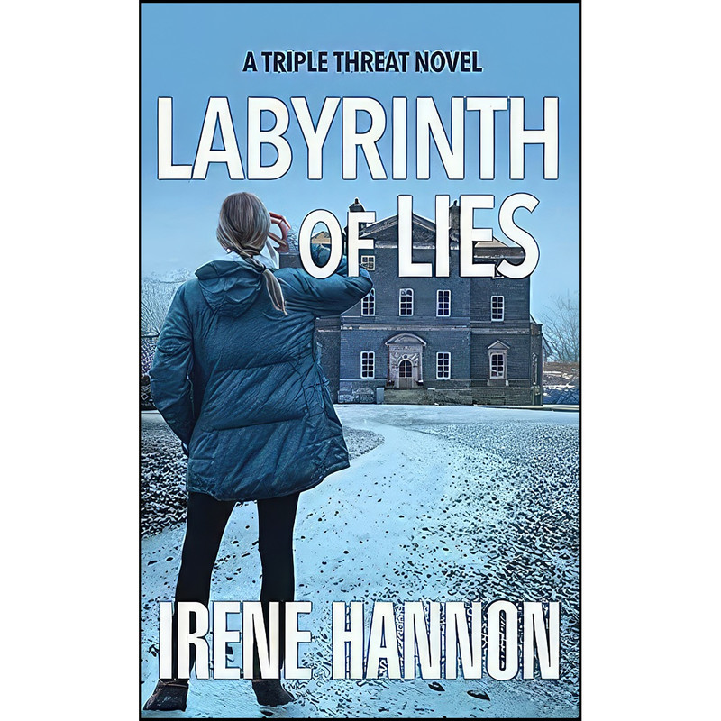 کتاب Labyrinth of Lies  اثر Irene Hannon انتشارات Center Point Pub