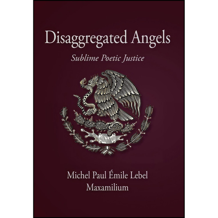کتاب Disaggregated Angels اثر Maxamilium انتشارات iUniverse