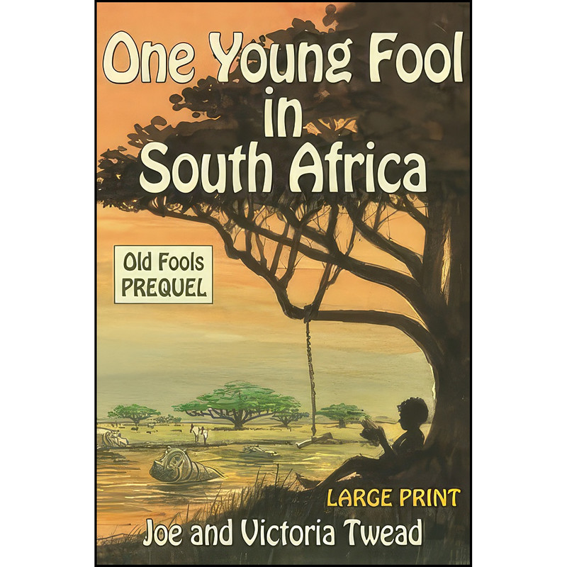 کتاب One Young Fool in South Africa  اثر Joe Twead and Victoria Twead انتشارات تازه ها