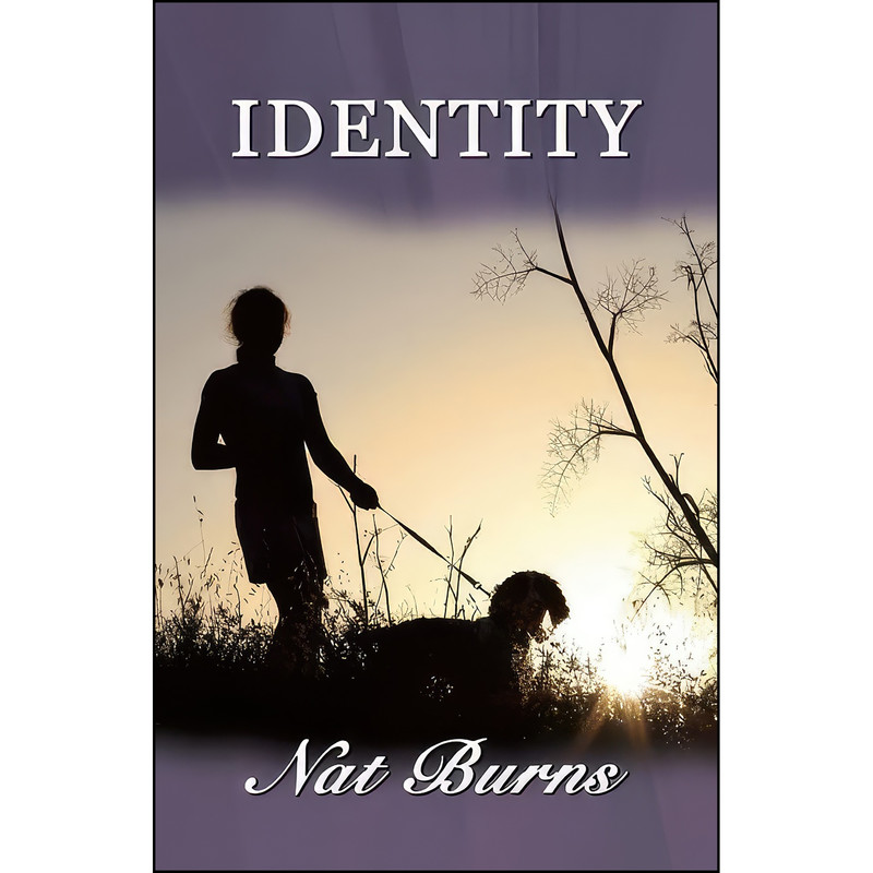 کتاب Identity اثر Nat Burns انتشارات Bella Books