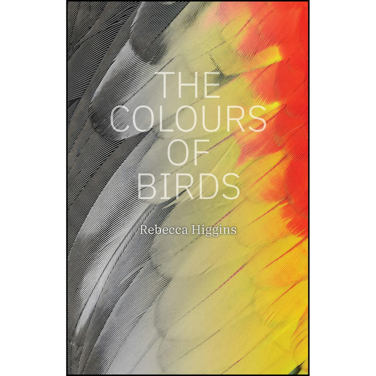 کتاب The Colours of Birds اثر Rebecca Higgins انتشارات Iguana Books