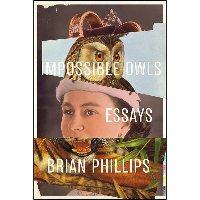کتاب Impossible Owls اثر Brian Phillips انتشارات تازه ها
