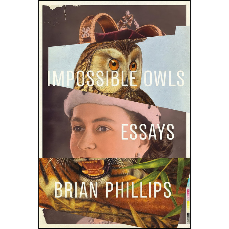 کتاب Impossible Owls اثر Brian Phillips انتشارات تازه ها