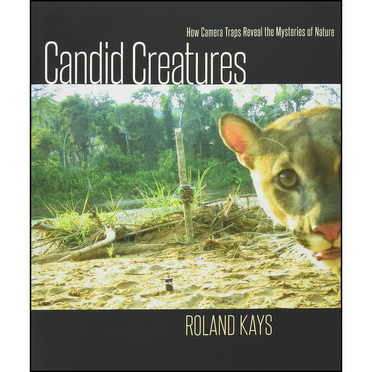 کتاب Candid Creatures اثر Roland Kays انتشارات Johns Hopkins University Press