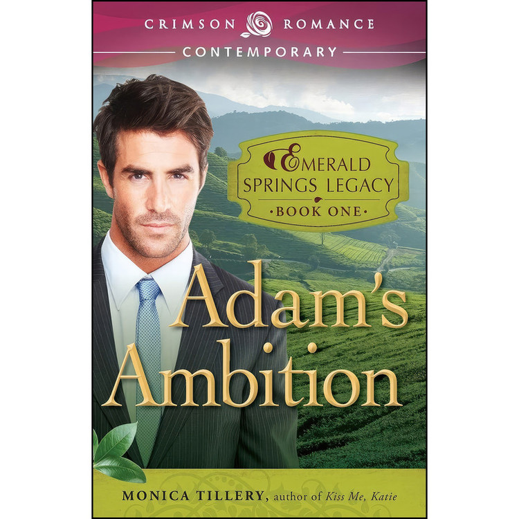 کتاب Adams Ambition اثر Monica Tillery انتشارات Adams Media