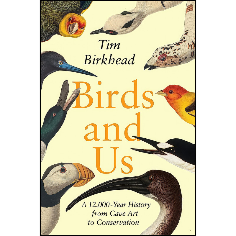 کتاب Birds and Us اثر Tim Birkhead انتشارات Princeton University Press